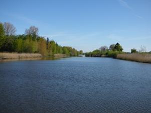 Das Bild zeigt den Flusslauf der Eider in Richtung Rendsburg