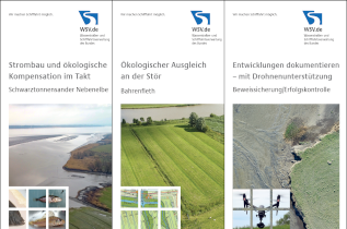 Broschüren & Flyer zum Thema Fahrrinnenanpassung 2019 Broschüren & Flyer zum Thema Fahrrinnenanpassung 2019